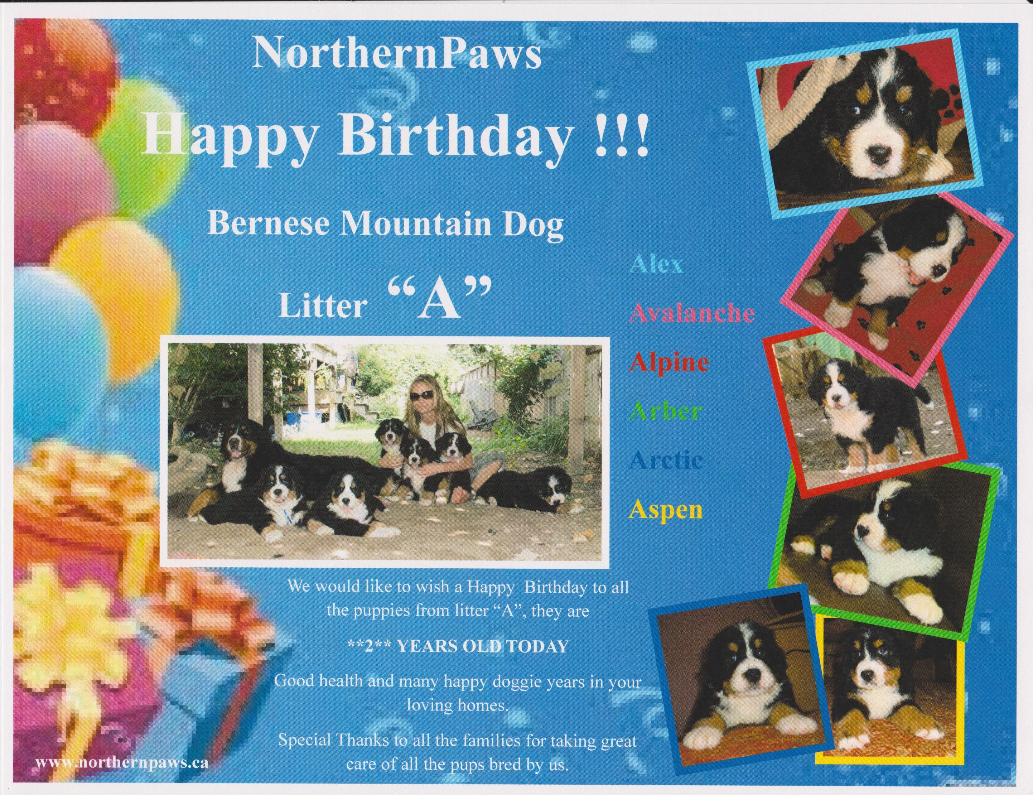 Happy Birthday "A" Happy Birthday "A"
